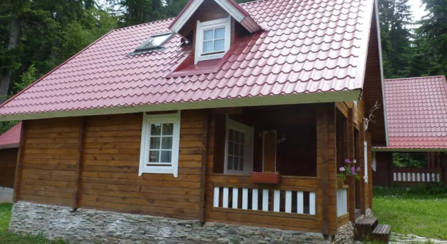 Вилла Alpine ski chalet Borovets with sauna