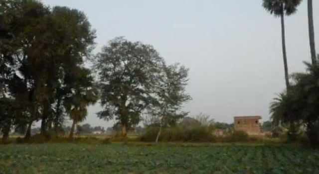 Senamura Yoga Ashram Guesthouse, Rezerwuj Hotel Gaja Bihar