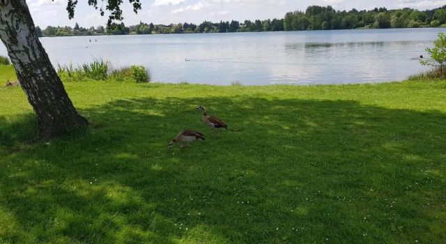 Коттедж Ferienhaus Am See