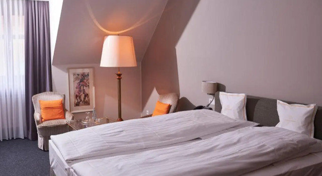 Habitación doble Estándar Hotel Goldener Karpfen OHG