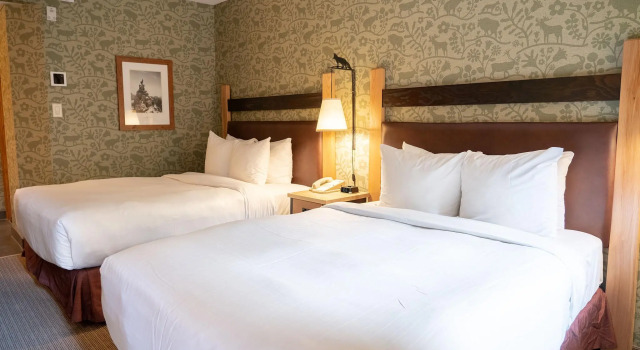 Четырёхместный номер Standard Fox Hotel and Suites