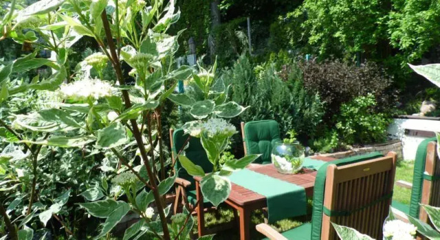 Dom Sopocki Klimat, Varaa Hotelli Górny Sopot 