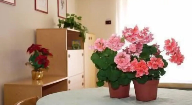 Residence Royal, Book Hotel Hotels in Sicily with Parking, Parking