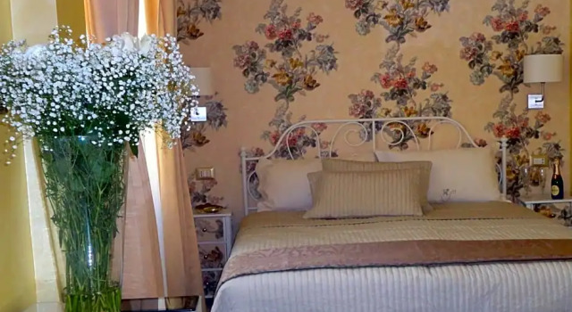 CAMEO B&b