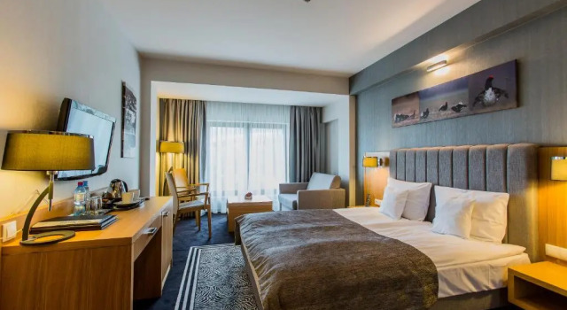 Двухместный номер Standard с видом на горы Hotel & Medi-Spa Biały Kamień