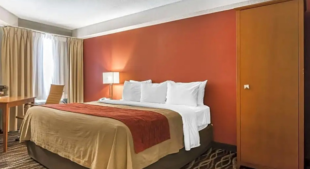 Номер Standard Цокольный этаж Spark by Hilton Oshawa