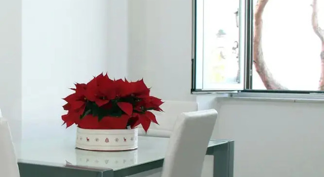 Четырёхместный номер Superior с балконом и с видом на море Le Mirage boutique II