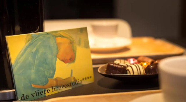 Студия Guesthouse De Vliere