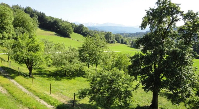 Kollehof, Rezervovat Apartmán Hotely v Carinthia s parkováním, Parkování