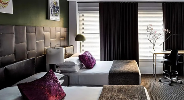 Четырёхместный люкс семейный Hotel Zeppelin San Francisco