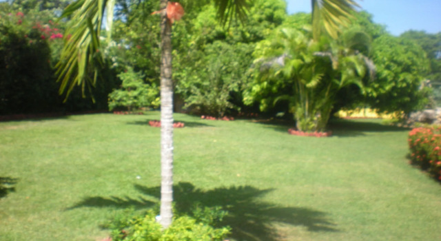 Villa Sonate