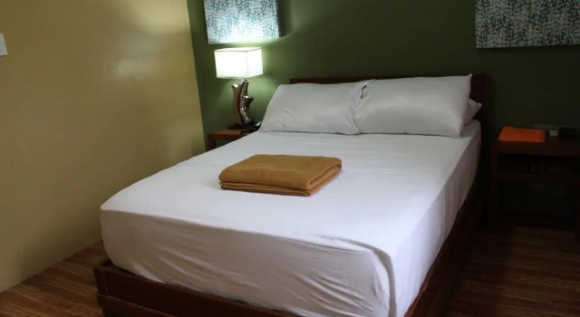 Двухместный номер Standard The Purple Tree Bed & Breakfast