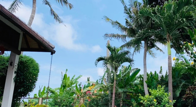 Вилла Luxury с 3 комнатами с красивым видом из окна Villa Wildflower Canggu