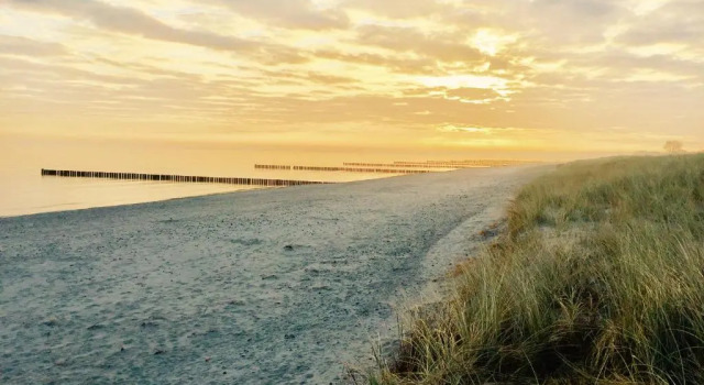 Коттедж chalet Zingst