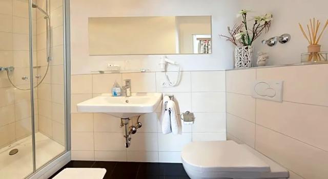 Номер Standard Hotel Drei Löwen