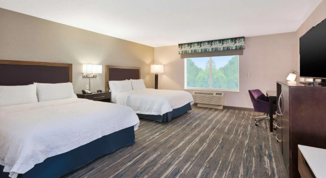 Четырёхместный номер Standard Hampton Inn and Suites Flint/Grand Blanc