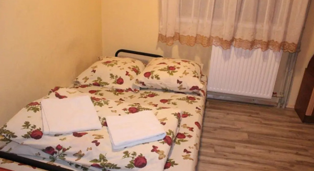 Номер Economy Guest House Mandrivnyi Rooms&Apartments