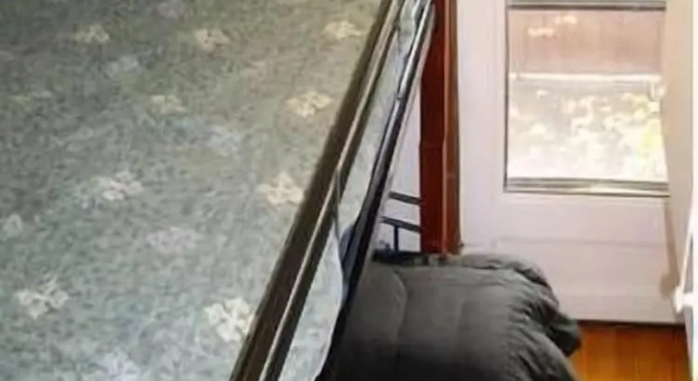 Студия Ottawa Backpackers Inn
