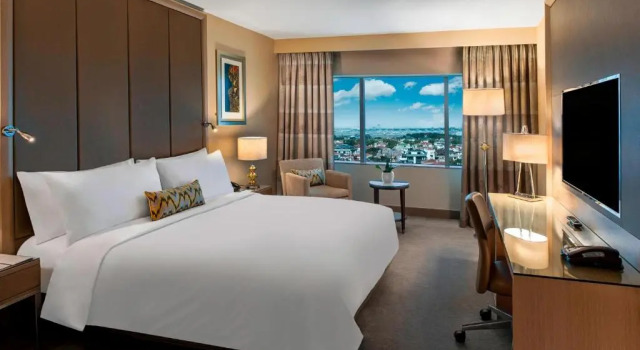 Двухместный room Deluxe с видом на город Renaissance Polat Istanbul Hotel