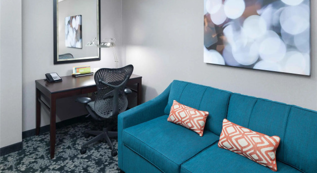 Люкс Deluxe Hilton Garden Inn Detroit/Novi