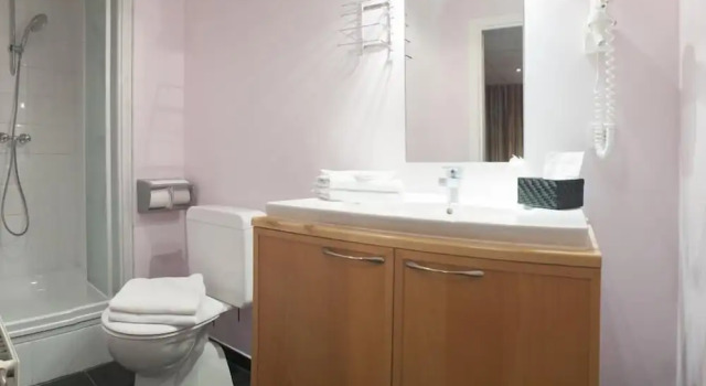 Трёхместный номер Standard Alpha Hotel