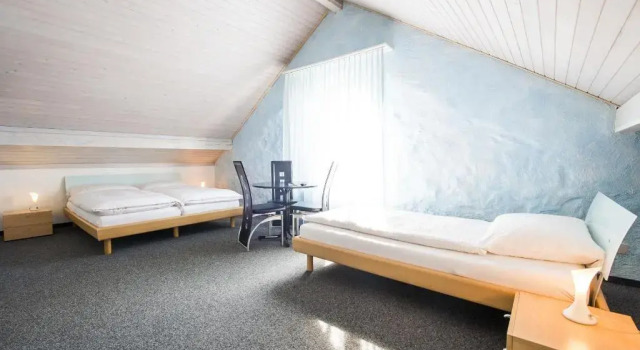 Номер Deluxe Hotel Sternen