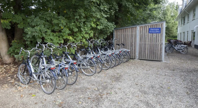 Номер Standard Fletcher Hotel Het Veluwse Bos