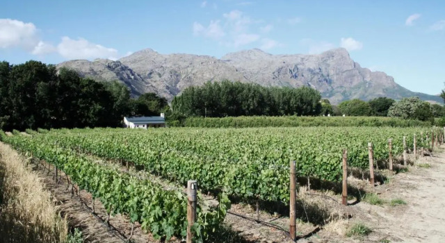 Шале c 1 комнатой La Chataigne Wines & Guest Cottages