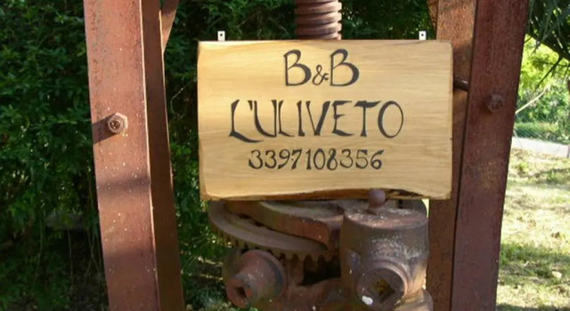 Standard room LUliveto