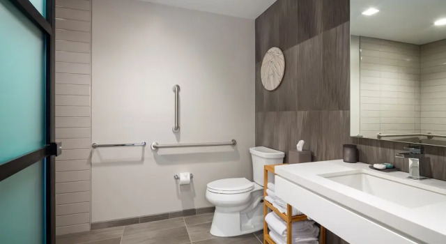 Люкс The Windsor Suites
