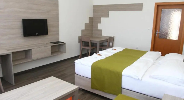 Апартаменты Hotel Palác Elektra