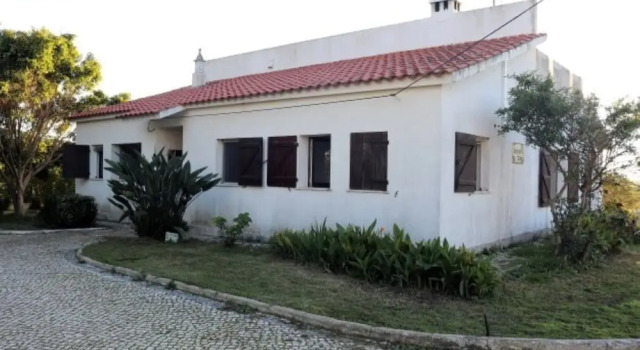 Akivillas Tavira Pine
