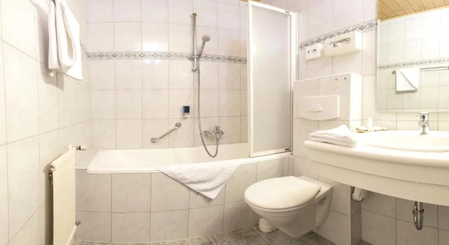 Номер Standard Hotel Karl Schranz