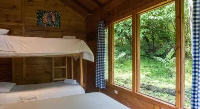 El Abrazo del Arbol - Farm Eco Lodge