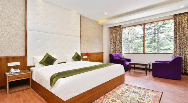 Номер Deluxe Hotel Snowcrests Manor