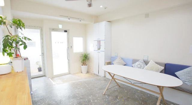 Кровать в общем номере Casa Blanca Guesthouse