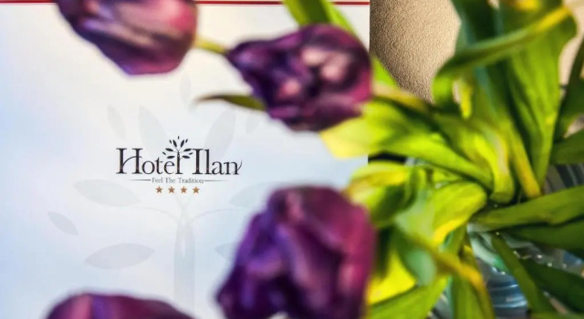 Апартаменты Hotel Ilan
