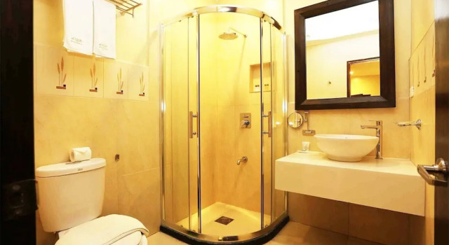 Двухместный номер Deluxe Palm Grass Hotel