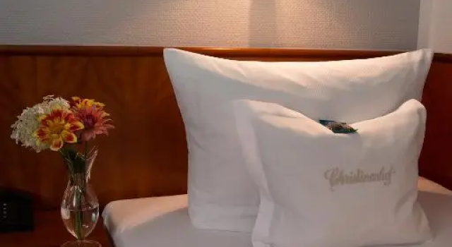 Одноместный номер Standard Historik Hotel Garni Christinenhof