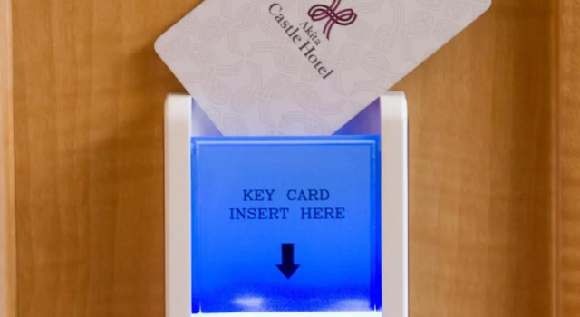 Номер Standard Akita Castle Hotel