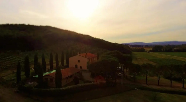 Agriturismo Podere Mulinaccio, Buchen Sie Hotel Ribolla 