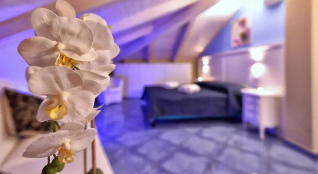 Junior-Suite Residenza Vinci Room & Suite