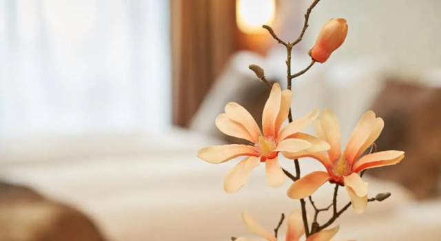 Номер Standard Hotel Meyerhof