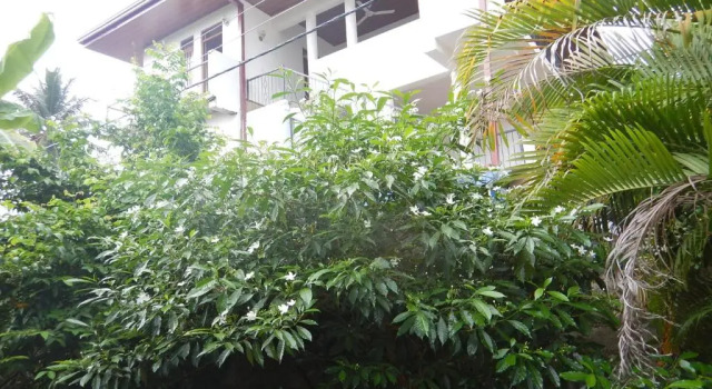 Номер Standard Suwani Pinnawala Homestay