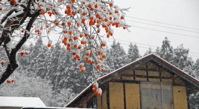 Shizukatei, Prenota Hotel Hiraizumi Iwate