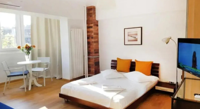 Piata Victoriei Sanador Studio Apartment