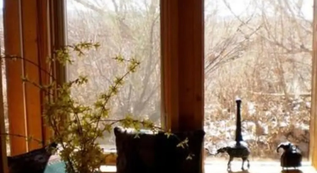 Номер Standard Silver River Adobe Inn Bed and Breakfast