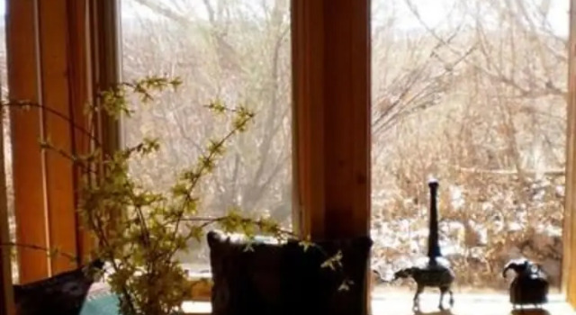 Номер Standard Silver River Adobe Inn Bed and Breakfast
