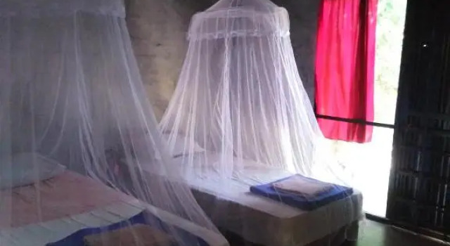 Phayam Hostel