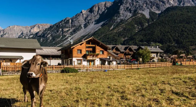 Agriturismo La Stalla